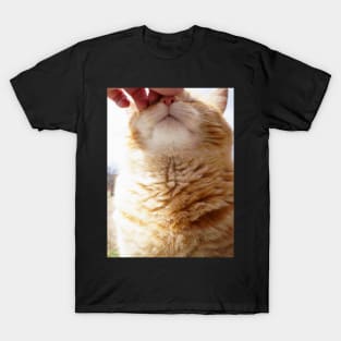 Petting a Fat Orange Cat T-Shirt